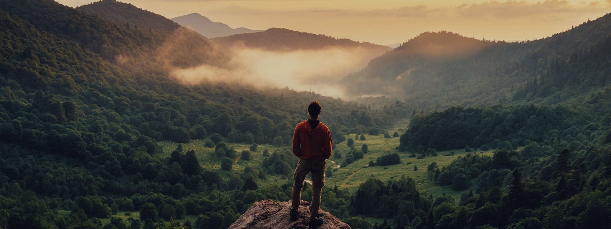 shutterstock 475421278 compressor